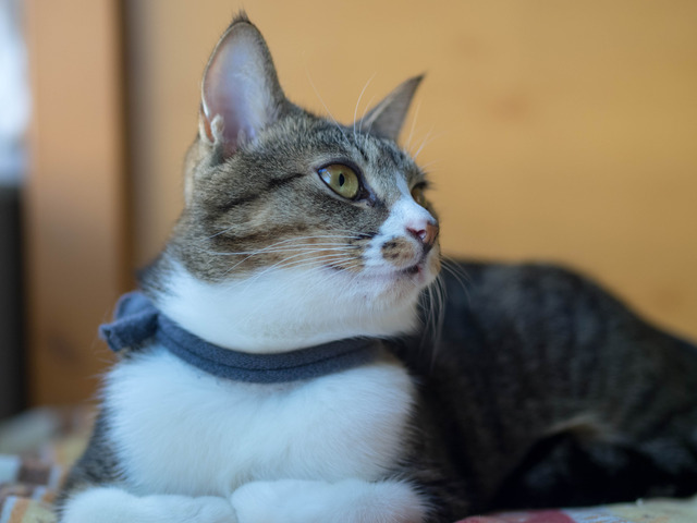 ���ͤ���2