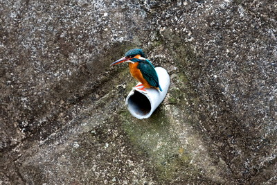 ���܎���1