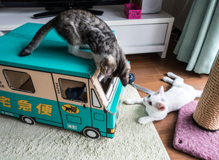 ���ͤ�����06