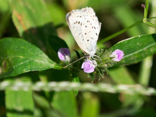 �َ؎����ގ�