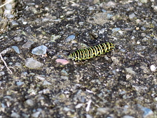 �������ގ�����01