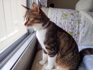 ���ͤ���3