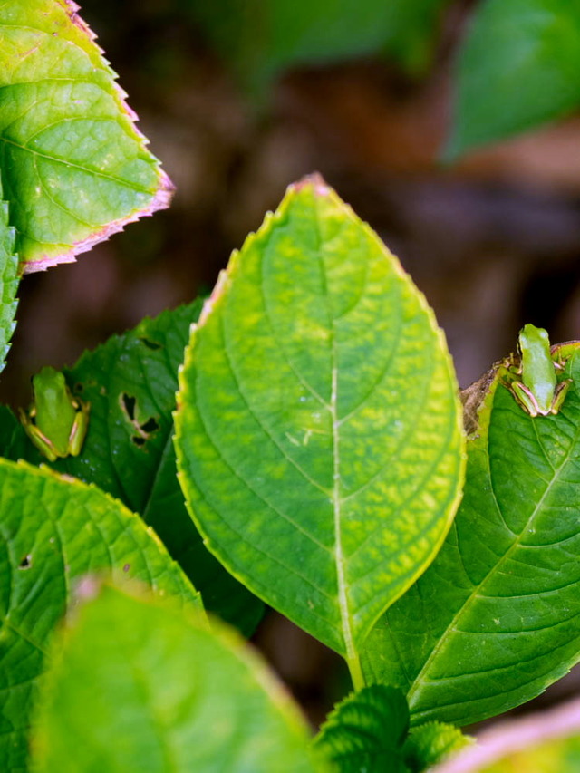 ���ώ��ގ���08