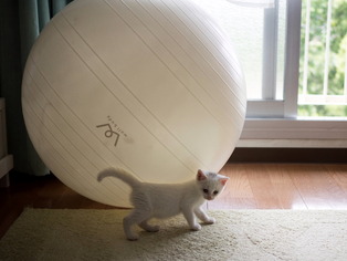 �ߥߤ����4