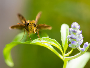 �����؎�����04