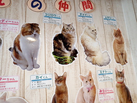 ǭ���ե��줪��27