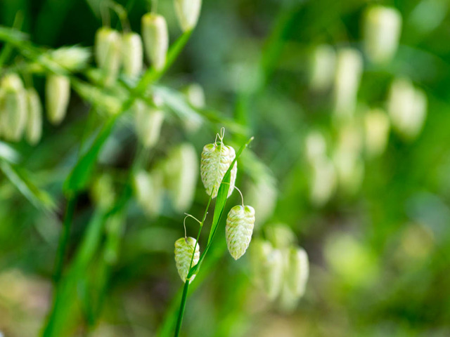 ���ʎގݎ���