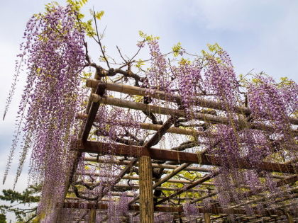 ���ĸ���14