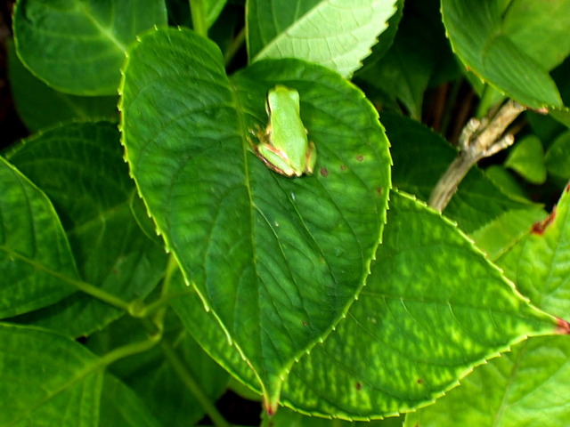 ���ώ��ގ���05