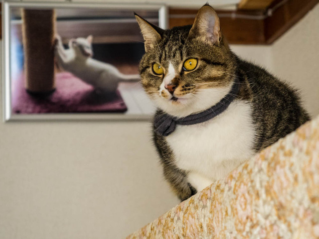 ���ͤ���2