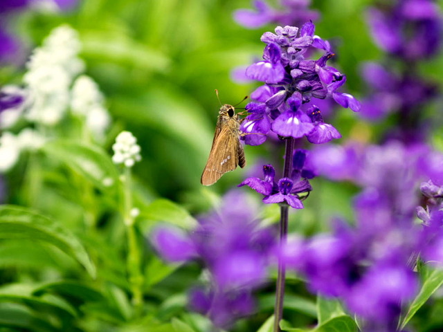 �����ӎݎ��ގ�����02