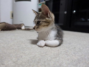 ���ͤ���23