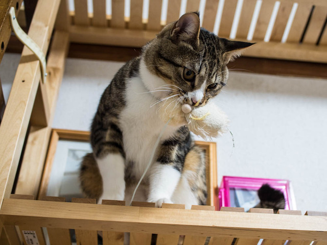 ���ͤ���09