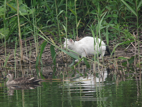 ���ʤ�~~��