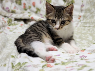 ���ͤ���07