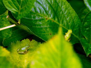 ���ώ��ގ���15