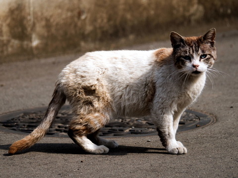 ������28