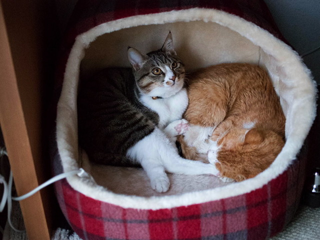 ���ͤ�����03