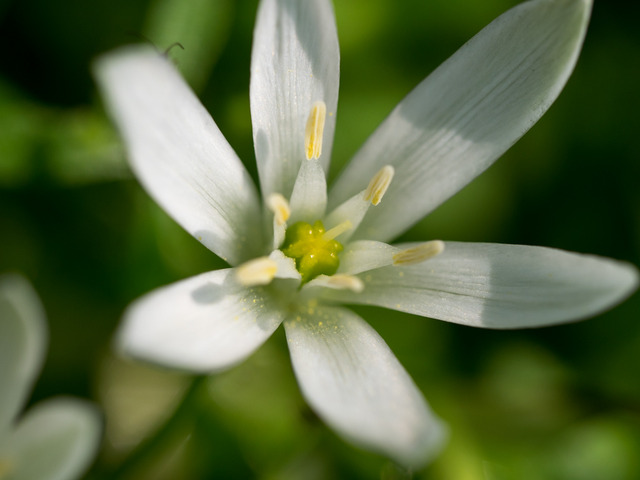 �������ώ�3