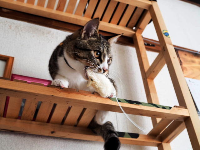 ���ͤ���03