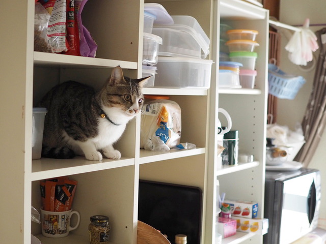 ���ͤ���2