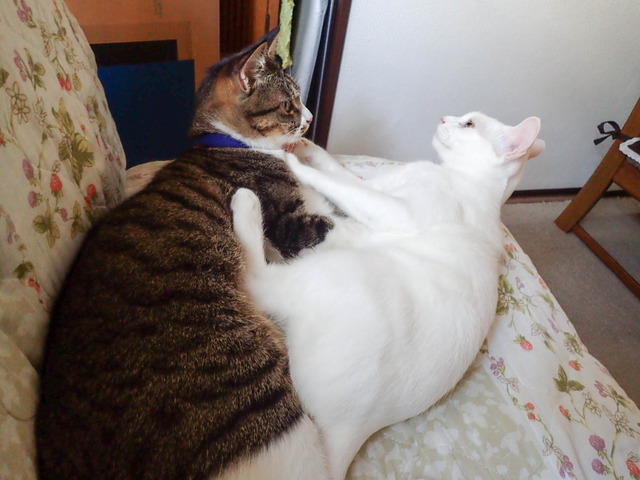 ����������5