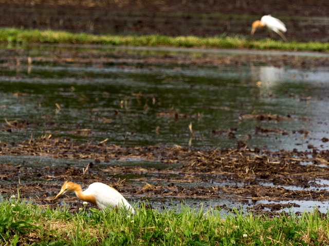 ���ޤ���3