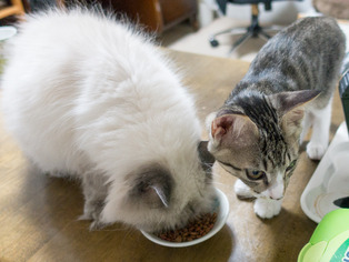 ���ͤ�Τ��05