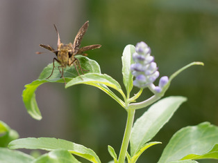 �����؎�����02