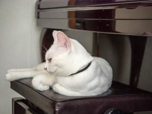 ���������1