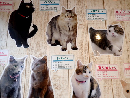 ǭ���ե��줪��26