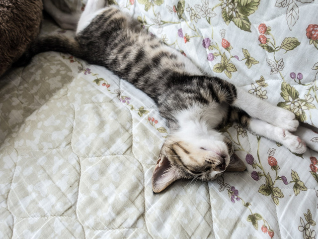 ���ͤ���45