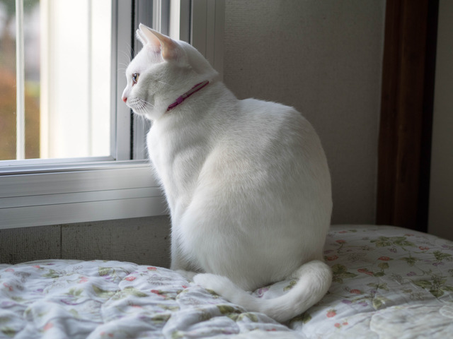 ���������2