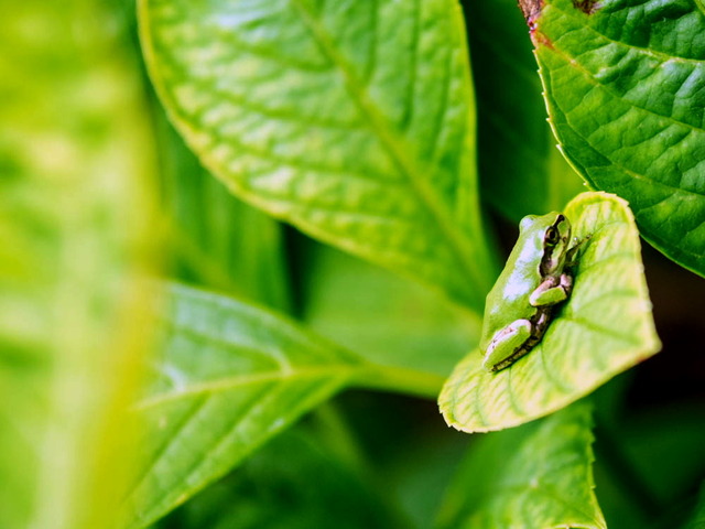 ���ώ��ގ���03