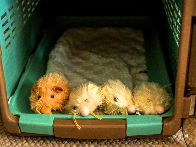 ���ͤ���03