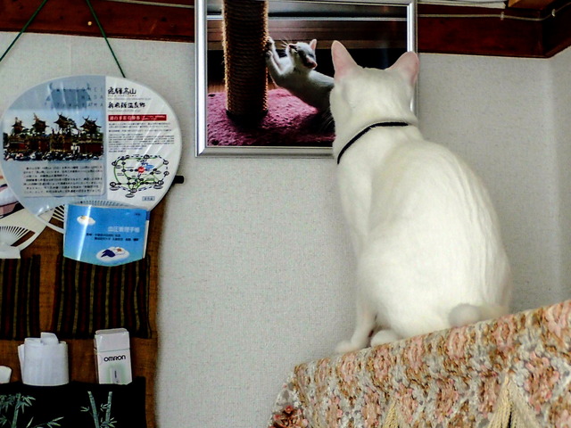 ���������1