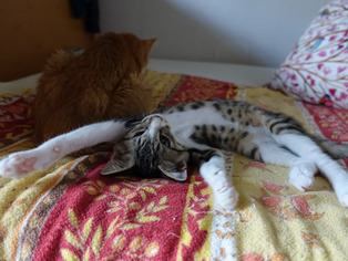 ���ͤ���73