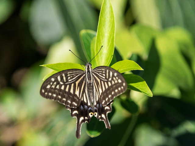 �����ގ�02