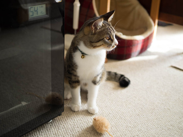 ���ͤ���07