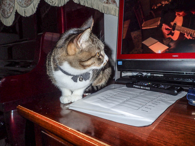 ���ͤ���5