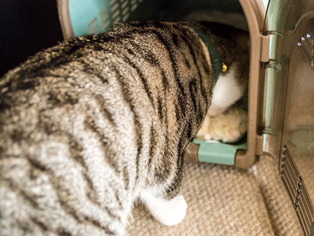 ���ͤ���04