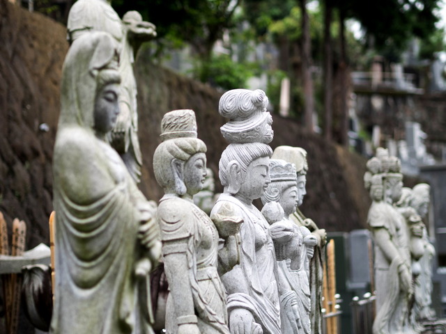 ��ɴ�����16