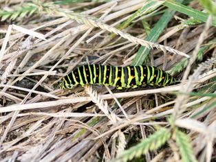 �������ގ�����02