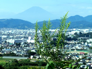 ��ˡ�������27ǯ9���