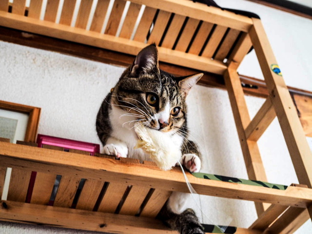 ���ͤ���02