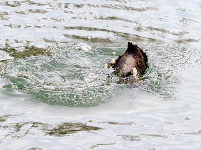 �����ʎގ�2