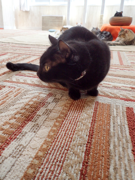 ǭ���ե��줪��24