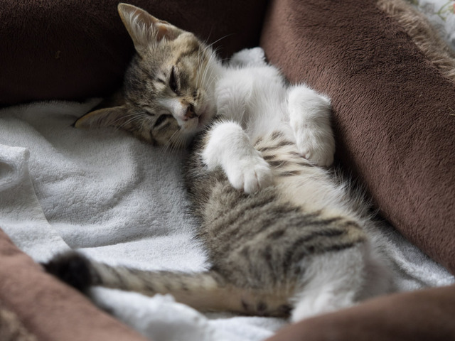 ���ͤ���44