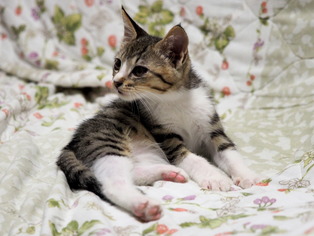 ���ͤ���06