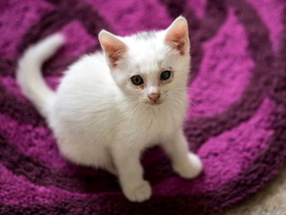 �ЎФ����03